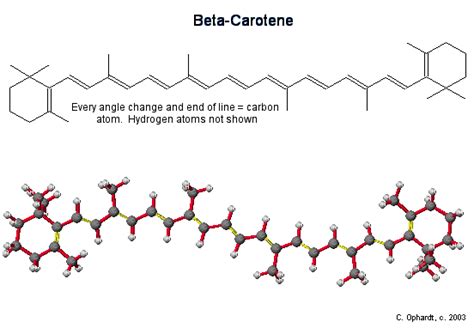 Vitamin A: β-Carotene - Chemistry LibreTexts