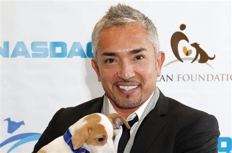 TV dog trainer Cesar Millan investigated for animal cruelty - UPI.com