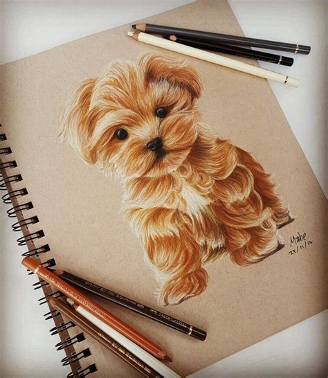 Cool Pictures Of Puppies Drawings Ideas - Homemadefer