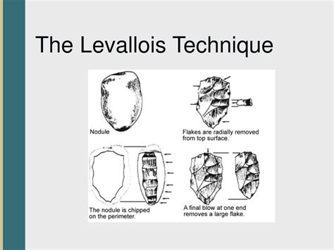 PPT - Chapter 13 PowerPoint Presentation - ID:670307