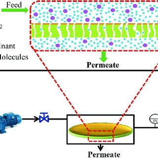 Schematic process diagram of cross-flow filtration system. | Download Scientific Diagram