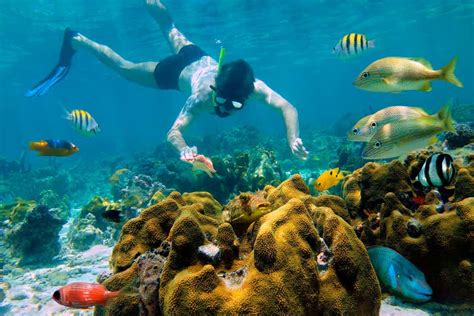 Snorkel en Cozumel, Playa del Carmen