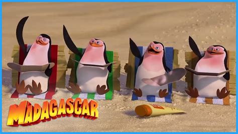 DreamWorks Madagascar | The Very Best Of The Penguins | Madagascar Movie Clip - YouTube