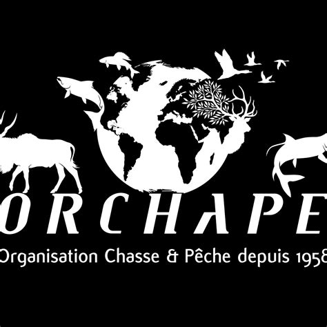 Orchape | Paris