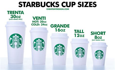 Starbucks Cup Sizes 2025 - Esther Henrieta