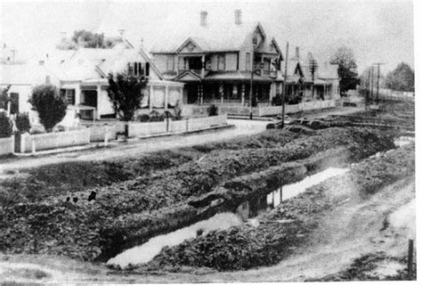 Thibodaux, Louisiana - Vintage picture of Canal Street. | Louisiana history, Thibodaux ...