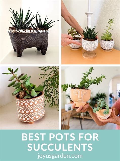 Five Favorites: Pots for Succulents