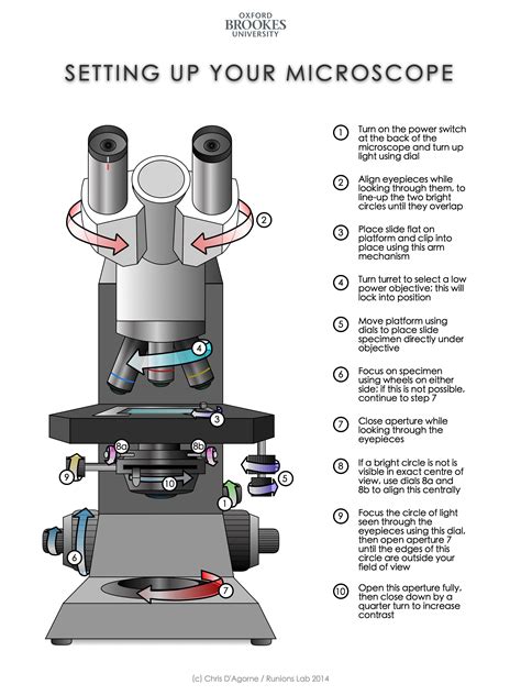 Light Microscope Setup- Teaching Resource by netzephyr on DeviantArt