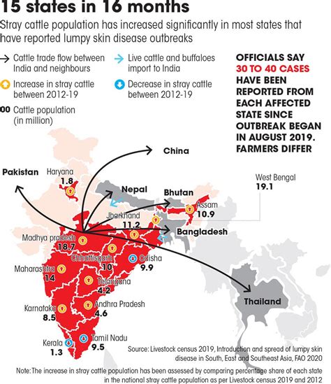 Lumpy skin disease: The deadly pandemic that has taken root among India’s bovines