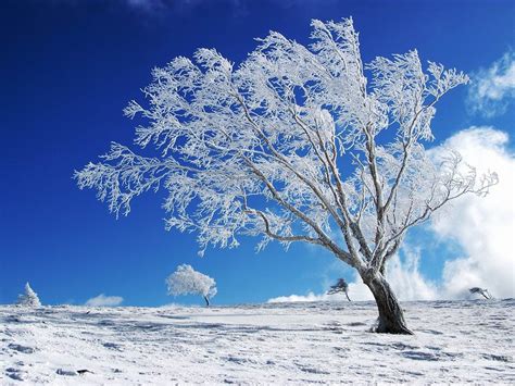 wallpaper: Winter Desktop Wallpapers and Backgrounds