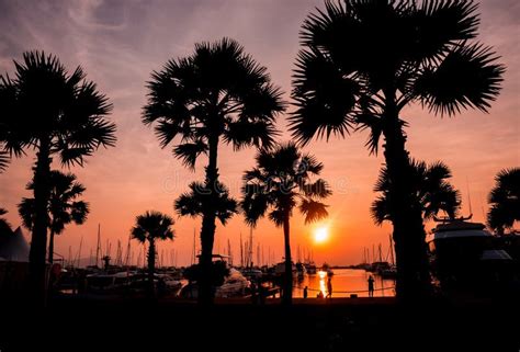 Beautiful Sunset Sky in the Marina Bay. View of Harbor with Yachts Stock Image - Image of sail ...