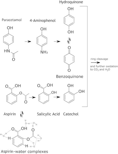 Paracetamol and aspirin pathway. Side reactions: solvation of aspirin ...