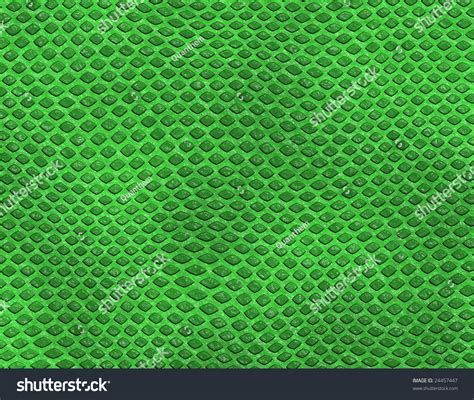 Lizard Skin Pattern Stock Illustration 24457447 - Shutterstock