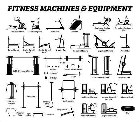 Fitness Cardio And Muscle Building Machines Equipments Set At Gym Stock Illustration - Download ...