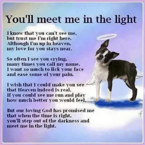 28 best **Dogs: Prayers For Loss** images on Pinterest | Rainbow bridge, Loss of pet and Prayer