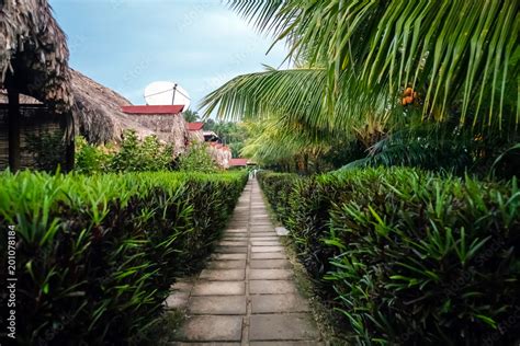 A bamboo house with a thatched roof Stock Photo | Adobe Stock