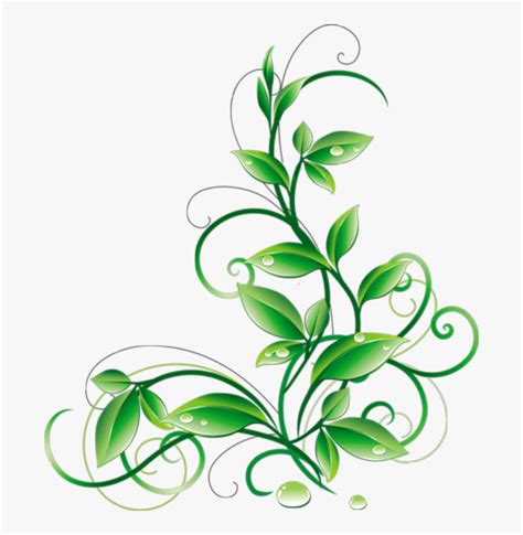 Floral Green Leaves And Water Droplets Png Clipart - Green Color Flower Design, Transparent Png ...