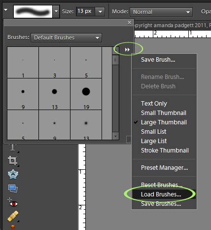 How to create a watermark brush in Photoshop Elements. | Everyday Elements