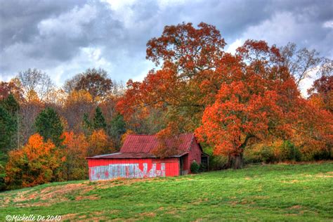 North Georgia Fall Colors!