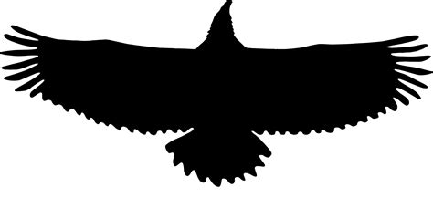 Eagle In Flight Silhouette at GetDrawings | Free download