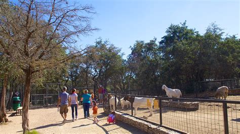 Austin Zoo in Austin, Texas | Expedia