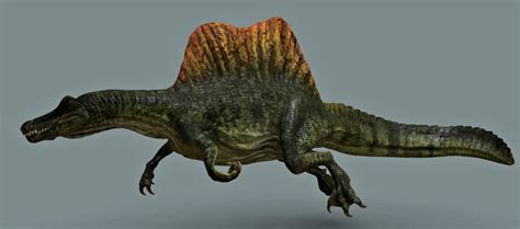 Fossilguy.com: Spinosaurus - The First Semi Aquatic Dinosaur! Facts and ...