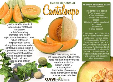 Health Benefits of Cantaloupe - OAWHealth | Cantaloupe benefits, Cantaloupe health benefits ...