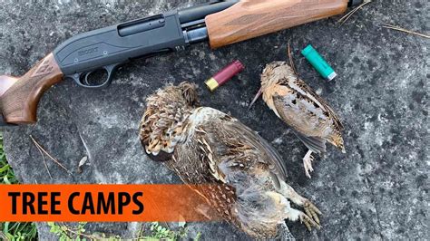 Ruffed Grouse Hunting Public Land Southern Ontario - YouTube