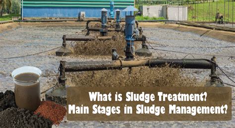 What is Sludge Treatment? Main treatment stages in sludge management