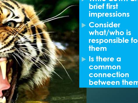 IGCSE 'The Tyger' William Blake - Exploring Symbolism | Teaching Resources