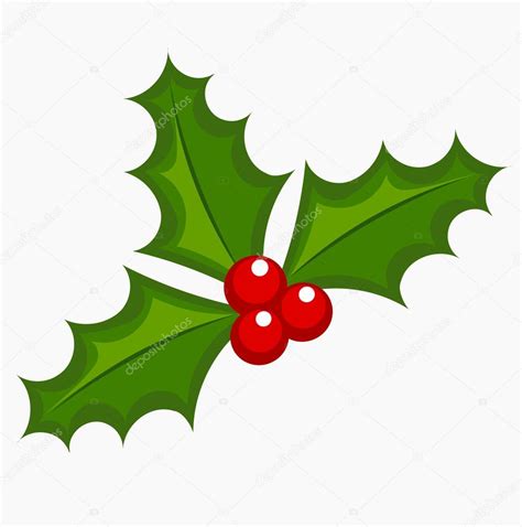 Holly berries Stock Vector Image by ©Studiobarcelona #59524345