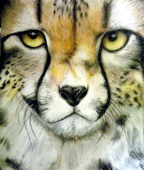 Simple: Realistic cheetah drawing