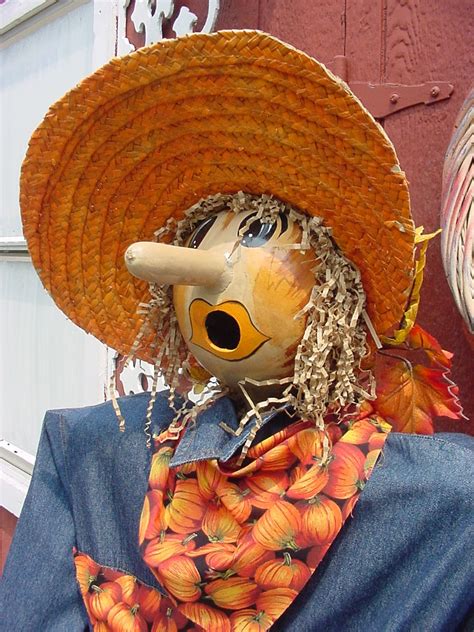 a scarecrow wearing a straw hat and an orange bandanna around his neck ...