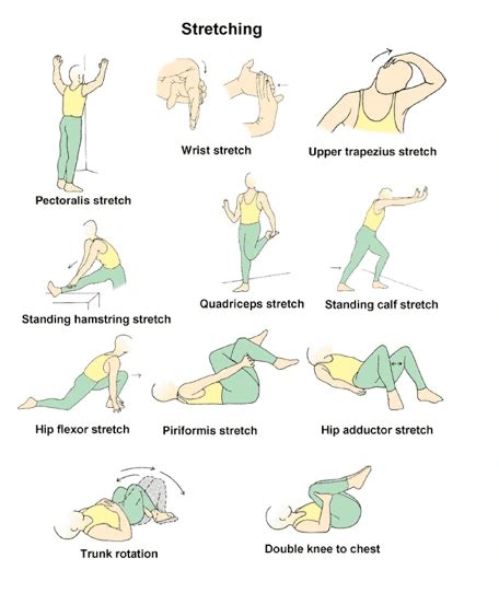 Stretching Exercises Fitness Workout Instructional Wall Chart Poster ...