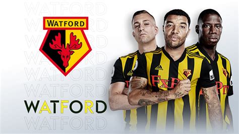 Watford fixtures: Premier League 2019/20 | Football News | Sky Sports