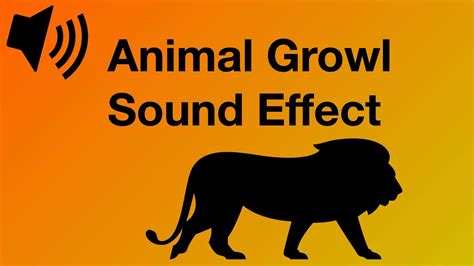 Animal Growl - Sound Effect [4K] - YouTube