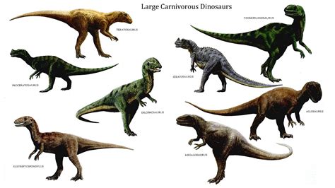 Jurassic Carnivores (most...?) | Dinosaur pictures, Dinosaur wallpapers ...