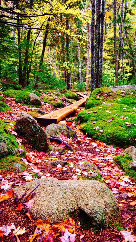 Arcadia national Park Trail source Flickr.com | Nature scenery ...