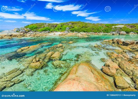 Madfish Beach in William Bay Stock Photo - Image of denmark, national: 158669312