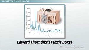 Behavioral Theory: Thorndike and the Law of Effect - Video & Lesson Transcript | Study.com