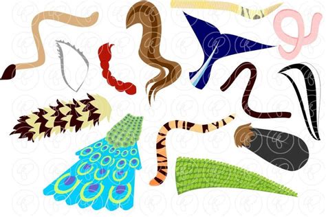 Whose Tail: Animal Digital Clipart Pack 300 Dpi Tiger Alligator Horse ...