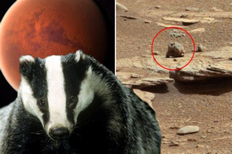 Alien 'proof': UFO hunters life on Mars with 'space badger' picture from NASA | Daily Star