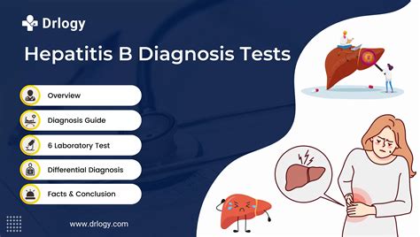 Top Hepatitis B Test keywords Health Blogs - Drlogy