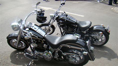 File:Two Harley Davidson. Fatboy an friend..JPG - Wikipedia