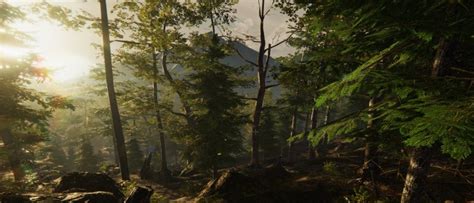 Forest Ranger Simulator - Game information hub | Hooked Gamers