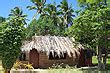 Tongan Fale Photos & Information