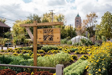 How this two-acre farm is offering free food, green space, and hope ...