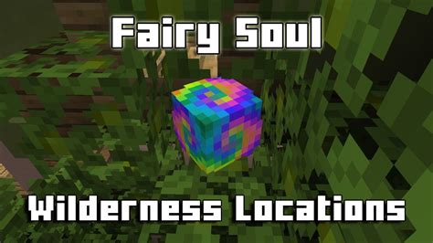 Fairy souls hypixel