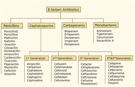 CBMAR :: B-lactam & lactamase