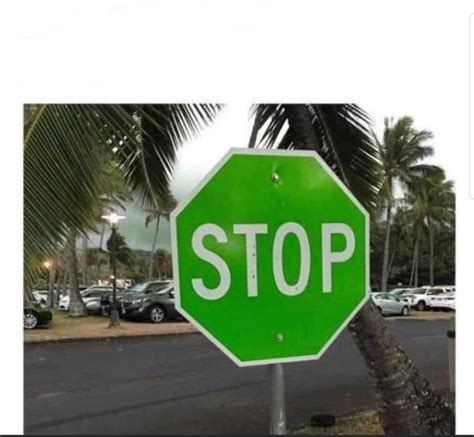 Green stop sign Memes - Imgflip